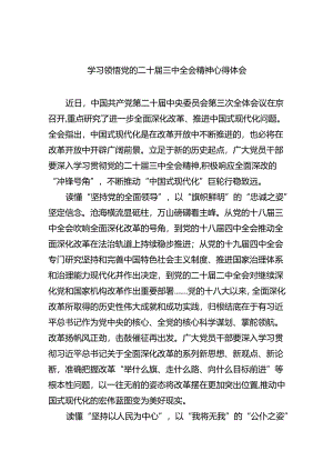 （9篇）学习领悟党的二十届三中全会精神心得体会范文.docx