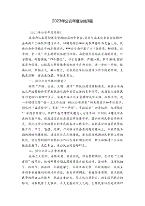 2023年公安年度总结3篇.docx