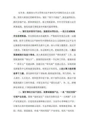 书记在乡村振兴经验分享会上的交流发言.docx