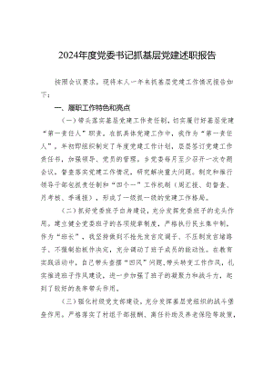 2024年度党委书记抓基层党建述职报告.docx