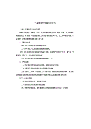 五星级党支部自评报告.docx
