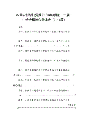 （11篇）农业农村部门党委书记学习贯彻二十届三中全会精神心得体会范文.docx