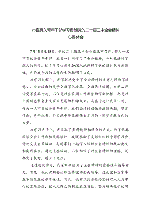 （9篇）市直机关青年干部学习贯彻党的二十届三中全会精神心得体会范文.docx