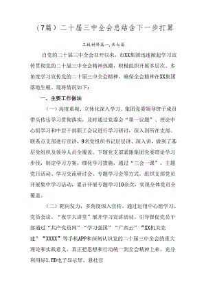 （7篇）二十届三中全会总结含下一步打算.docx