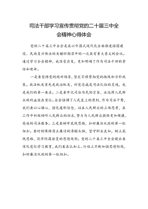 司法干部学习宣传贯彻党的二十届三中全会精神心得体会.docx
