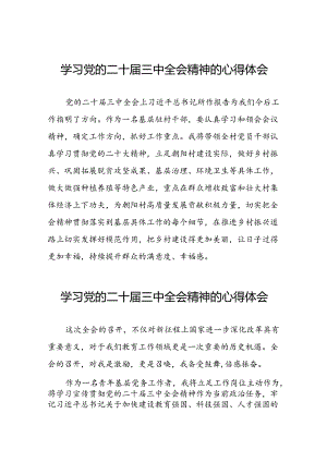 党员干部学习中国共产党第二十届中央委员会第三次全体会议精神心得体会四十篇.docx