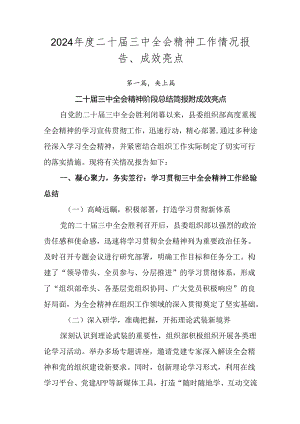 2024年度二十届三中全会精神工作情况报告、成效亮点.docx