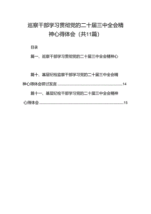 （11篇）巡察干部学习贯彻党的二十届三中全会精神心得体会资料汇编.docx