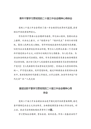 青年干警学习贯彻党的二十届三中全会精神心得体会(8篇集合).docx