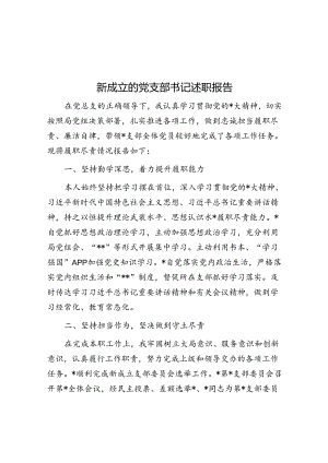新成立的党支部书记述职报告.docx