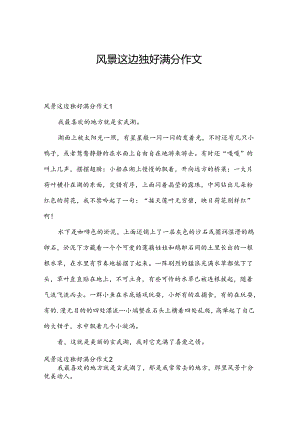 风景这边独好满分作文.docx