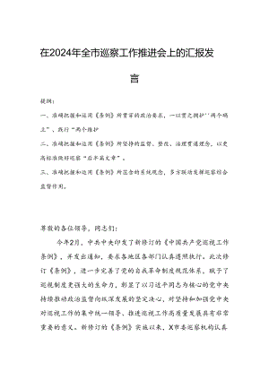 在2024年全市巡察工作推进会上的汇报发言.docx