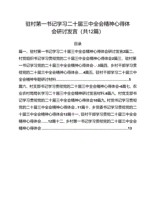 驻村第一书记学习二十届三中全会精神心得体会研讨发言（共12篇）.docx