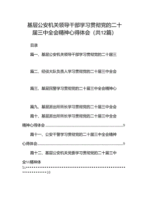 基层公安机关领导干部学习贯彻党的二十届三中全会精神心得体会12篇（精选）.docx