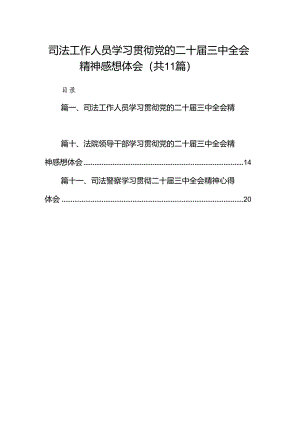 （11篇）司法工作人员学习贯彻党的二十届三中全会精神感想体会（精选）.docx