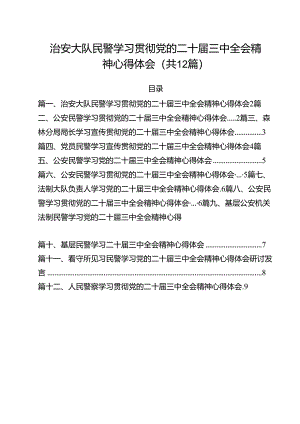 治安大队民警学习贯彻党的二十届三中全会精神心得体会12篇（最新版）.docx