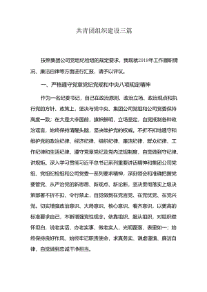 共青团组织建设三篇.docx