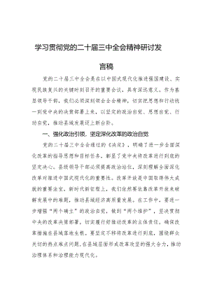 学习党的二十届三中全会精神研讨发言.docx