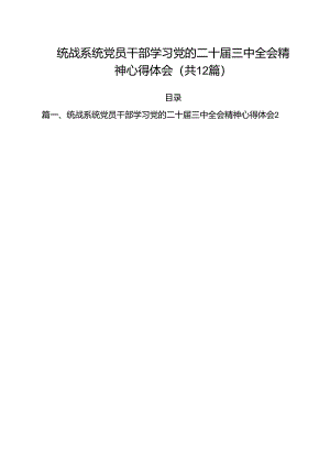 统战系统党员干部学习党的二十届三中全会精神心得体会12篇（详细版）.docx