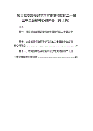 （11篇）项目党支部书记学习宣传贯彻党的二十届三中全会精神心得体会（精选）.docx