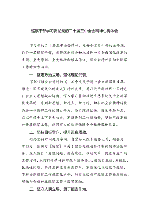 （9篇）巡察干部学习贯彻党的二十届三中全会精神心得体会（详细版）.docx
