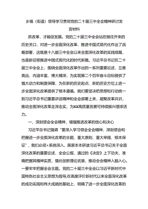 乡镇（街道）领导学习贯彻党的二十届三中全会精神研讨发言材料.docx