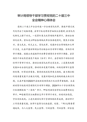 (5篇)审计局领导干部学习贯彻党的二十届三中全会精神心得体会（精选）.docx