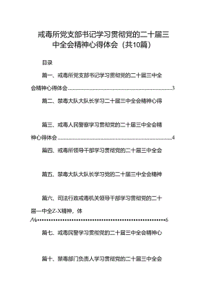 （10篇）戒毒所党支部书记学习贯彻党的二十届三中全会精神心得体会范文.docx