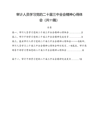 审计人员学习党的二十届三中全会精神心得体会（共11篇）.docx