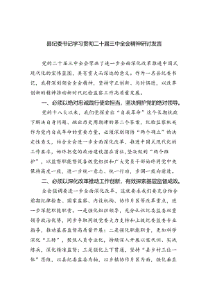 （9篇）县纪委书记学习贯彻二十届三中全会精神研讨发言（详细版）.docx