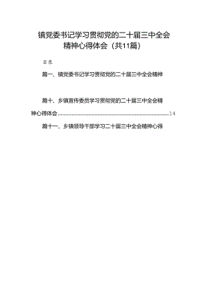（11篇）镇党委书记学习贯彻党的二十届三中全会精神心得体会参考范文.docx