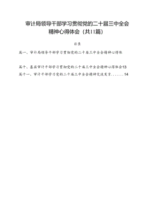 审计局领导干部学习贯彻党的二十届三中全会精神心得体会11篇（精选）.docx