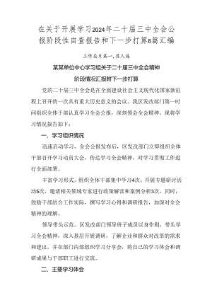 在关于开展学习2024年二十届三中全会公报阶段性自查报告和下一步打算8篇汇编.docx