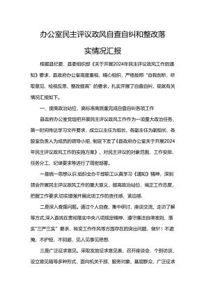 办公室民主评议政风自查自纠和整改落实情况汇报.docx
