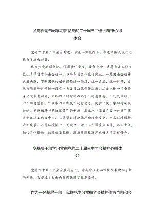 （9篇）乡党委副书记学习贯彻党的二十届三中全会精神心得体会（详细版）.docx