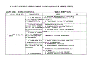 某某市县自然资源和规划局各岗位廉政风险点及防控措施一览表（最新最全面版本）.docx