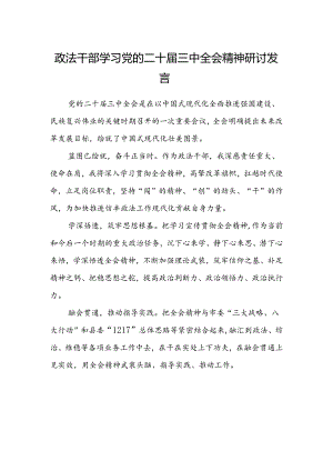 政法干部学习党的二十届三中全会精神研讨发言.docx
