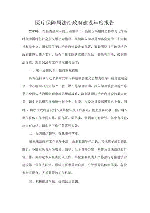 医疗保障局法治政府建设年度报告.docx