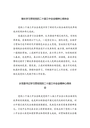 （9篇）镇长学习贯彻党的二十届三中全会精神心得体会范文精选.docx