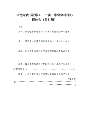 （11篇）公司党委书记学习二十届三中全会精神心得体会（详细版）.docx