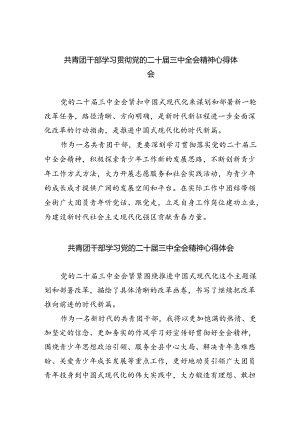 共青团干部学习贯彻党的二十届三中全会精神心得体会(5篇集合).docx