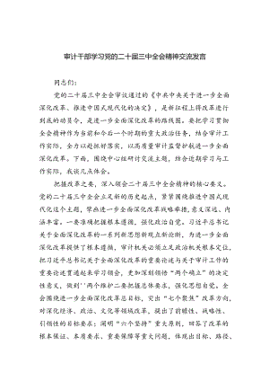 （9篇）审计干部学习党的二十届三中全会精神交流发言汇编.docx