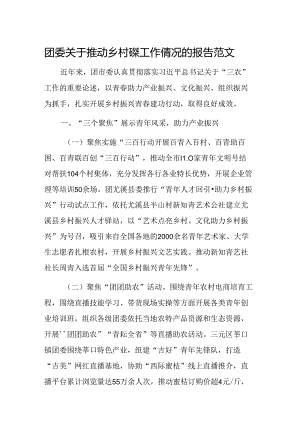 团委关于推动乡村振兴工作情况的报告范文.docx