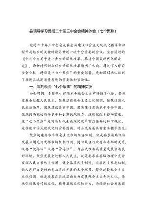 （12篇）县领导学习贯彻二十届三中全会精神体会（七个聚焦）范文.docx