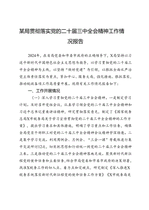 税务局贯彻落实党的二十届三中全会精神工作情况报告.docx