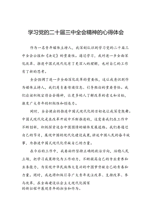 党员干部学习党的二十届三中全会公报的心得体会交流发言四十篇.docx