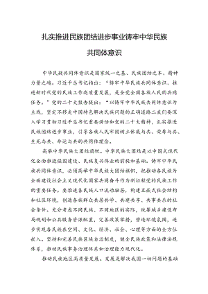 扎实推进民族团结进步事业+铸牢中华民族共同体意识.docx
