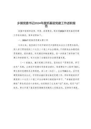 乡镇党委书记2024年度抓基层党建工作述职报告.docx