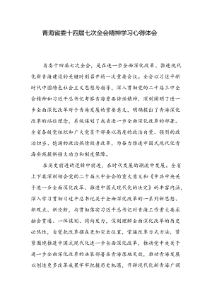 青海省委十四届七次全会精神学习心得体会6篇.docx