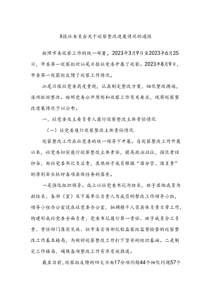 X报社委员会关于巡察整改进展情况的通报.docx